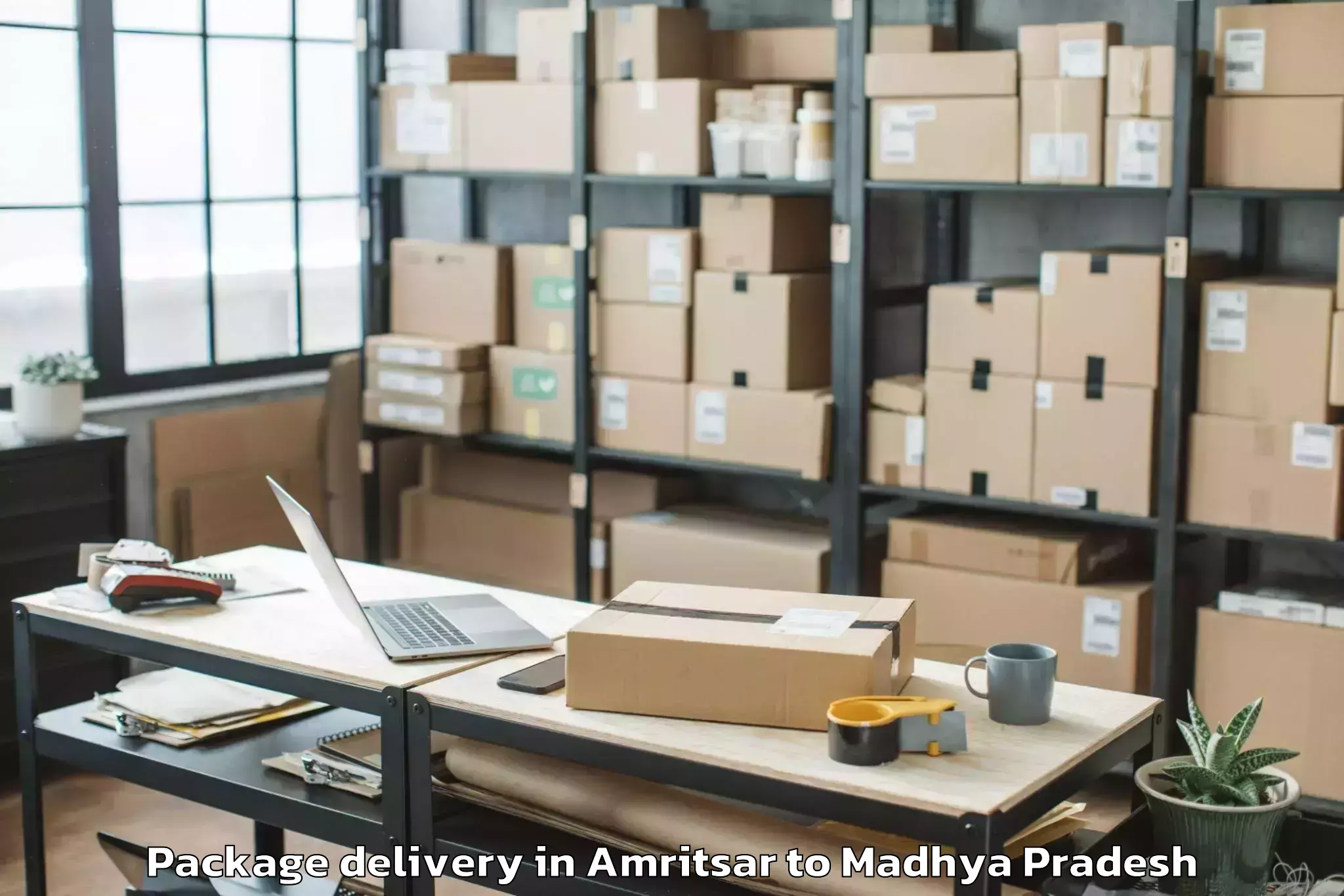 Professional Amritsar to Shajapur Package Delivery